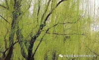 一起讀報-4月3日