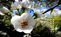 一起讀報-4月27日