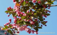一起讀報-5月3日