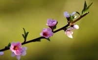 一起讀報-5月4日