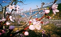 一起讀報-5月5日
