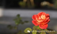 一起讀報(bào)-5月28日