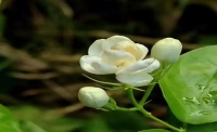 一起讀報-6月15日