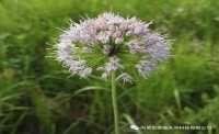 一起讀報(bào)-7月5日