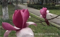 一起讀報-7月22日