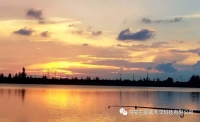 一起讀報(bào)-8月26日