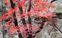 一起讀報(bào)-10月12日