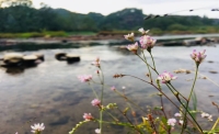 一起讀報(bào)-11月7日(立冬)