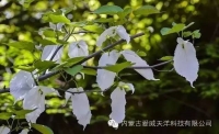 一起讀報(bào)-12月6日